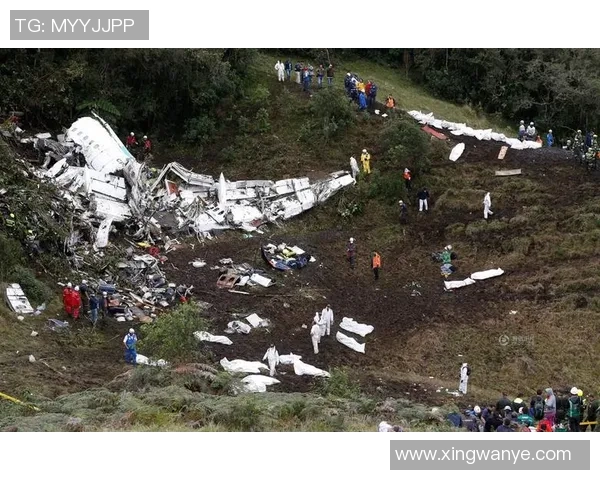 足球明星乘坐航班不幸坠毁震惊全球球迷与体育界的悲剧事件 足球明星乘坐航班不幸坠毁震惊全球球迷与体育界的悲剧事件