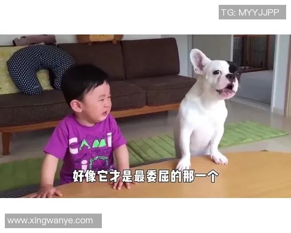 足球明星之子搞笑瞬间合集让你捧腹大笑的萌娃足球时刻